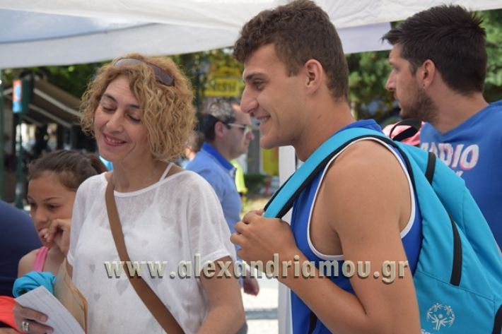 alexandriamou_1_alexandrinos_dromos010